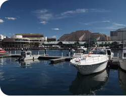 公司頂讓,公司賣盤,中小企資助,創業基金支援,出讓頂手生意,政府資助項目,香港買生意,香港資助項目