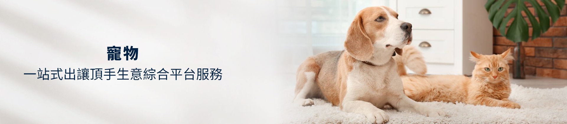 寵物店頂讓,寵物店牌照,香港寵物店頂讓流程,寵物店經營利潤,香港寵物店頂讓金額